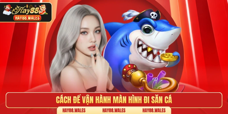 Cách để vận hành màn hình đi săn cá