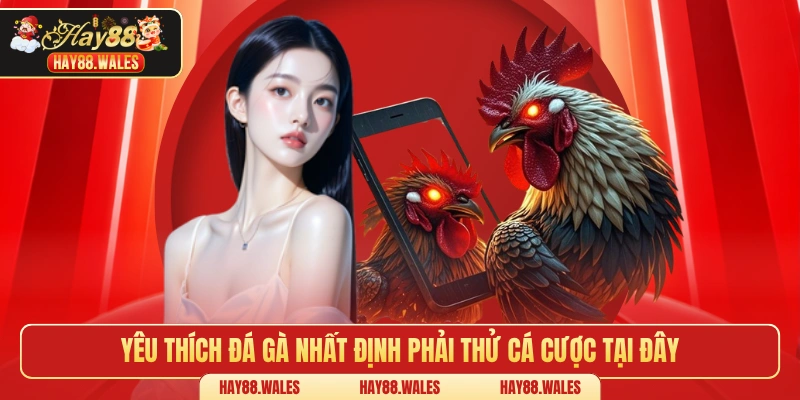 Yêu thích đá gà nhất định phải thử cá cược tại đây