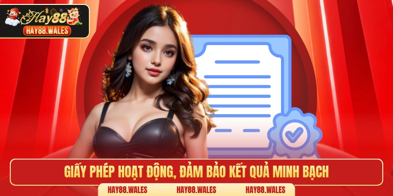 Giấy phép hoạt động, đảm bảo kết quả minh bạch