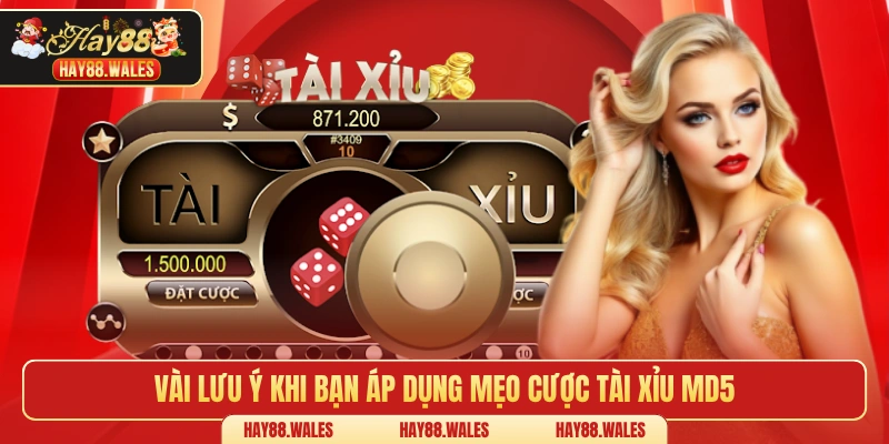 Vài lưu ý khi bạn áp dụng mẹo cược tài xỉu MD5