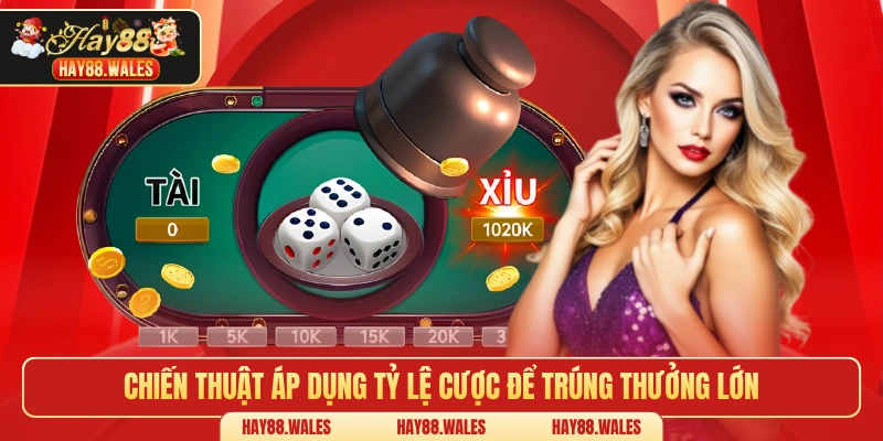Chiến thuật áp dụng tỷ lệ cược để trúng thưởng lớn