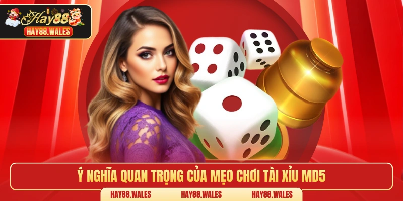 Ý nghĩa quan trọng của mẹo chơi tài xỉu MD5