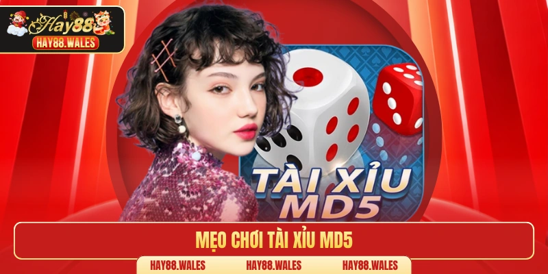 Mẹo chơi tài xỉu MD5