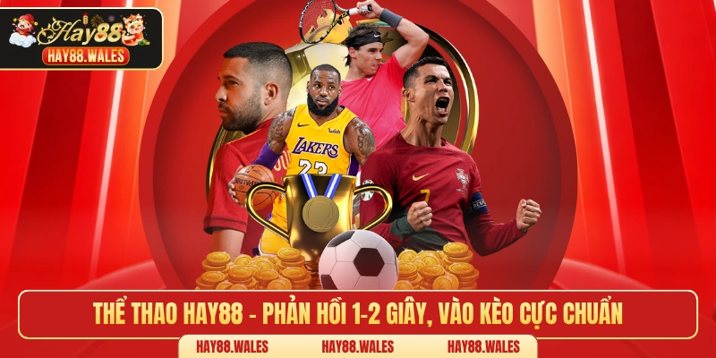Thể thao HAY88 – Phản hồi 1–2 giây, vào kèo cực chuẩn